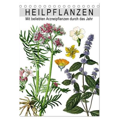 Heilpflanzen (Tischkalender 2027 DIN A5 hoch), CALVENDO Monatskalender