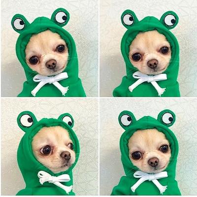 Hunde Hoodie Kleidung - Hund Basic Pullover Mantel süße Karottenform warme Jacke Outdoor Haustier Kaltwetterkleidung Outfit Oberbekleidung für kleine Hunde Katzen Welpen kleine Tiere