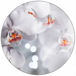 Essbares Papier „Weiße Orchidee“, 19,5 cm