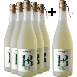 5+1-PAKET Emil Bauer Secco Weiß