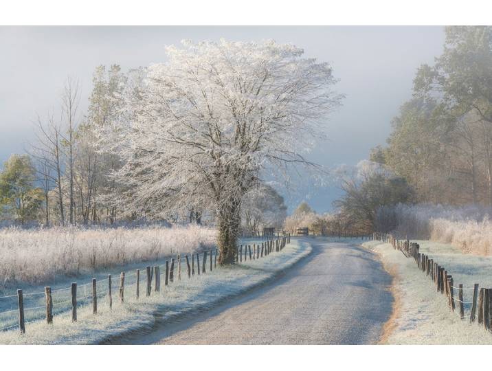 Fototapete PAPERMOON Photo-Art CHRIS MOORE, EIN FROSTIGER MORGEN , bunt, B:4,5m L:2,8m, Vlies, Tapeten, Fototapete