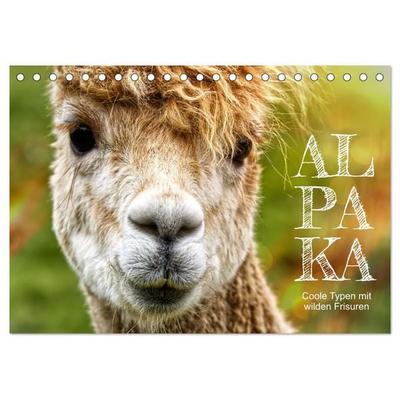 Alpaka, coole Typen mit wilden Frisuren (Tischkalender 2026 DIN A5 quer), CALVENDO Monatskalender