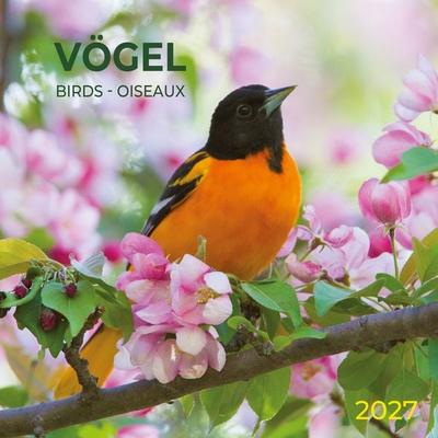 Vögel / Birds 2027