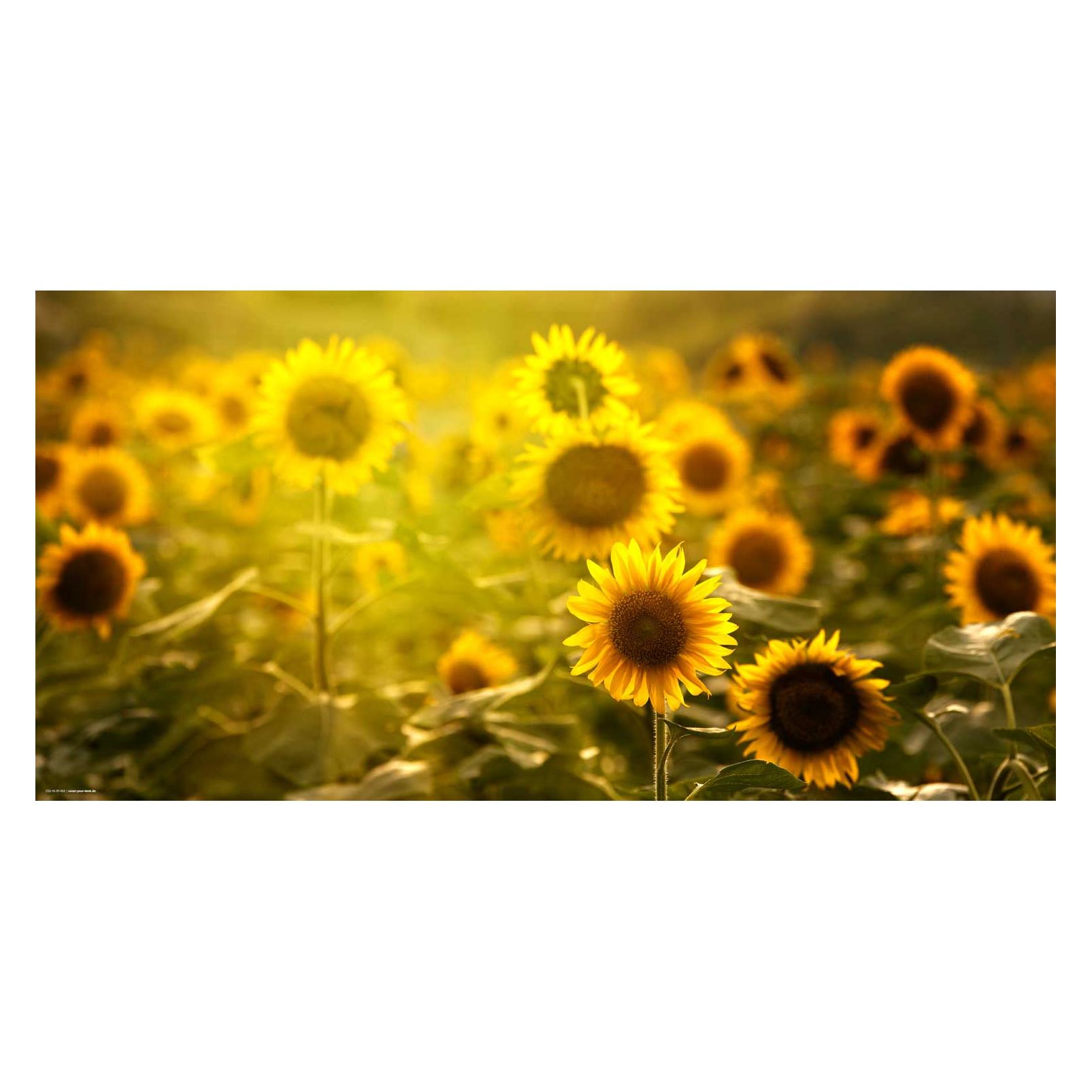 CoverYourDesk Schreibtischunterlage Sonnenblumenfeld (21557344)