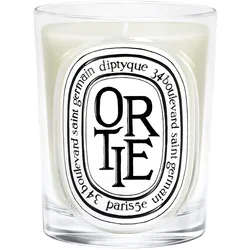 190g diptyque Classic Candle Ortie
