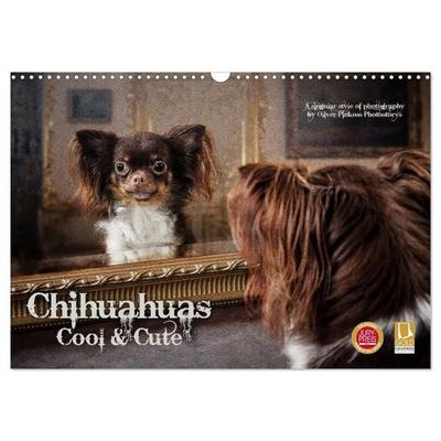 Chihuahuas - Cool and Cute (Wandkalender 2027 DIN A3 quer), CALVENDO Monatskalender