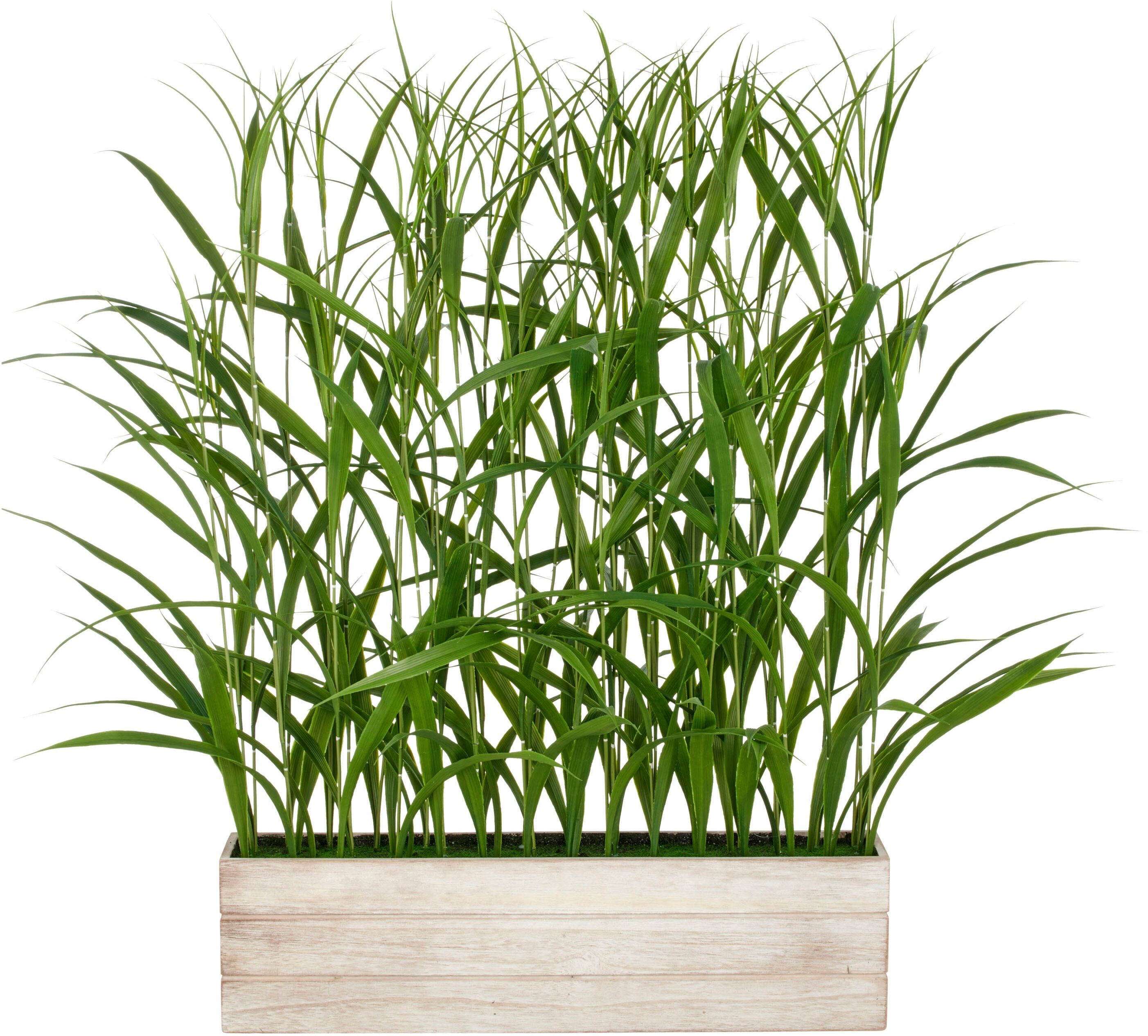 Kunstgras CREATIV GREEN "Raumteiler Gras", grün, B:72cm H:120cm T:15cm, Kunststoff, Kunstpflanzen, mit filigranen Grashalmen