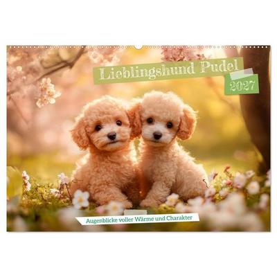 Lieblingshund Pudel (Wandkalender 2027 DIN A2 quer), CALVENDO Monatskalender