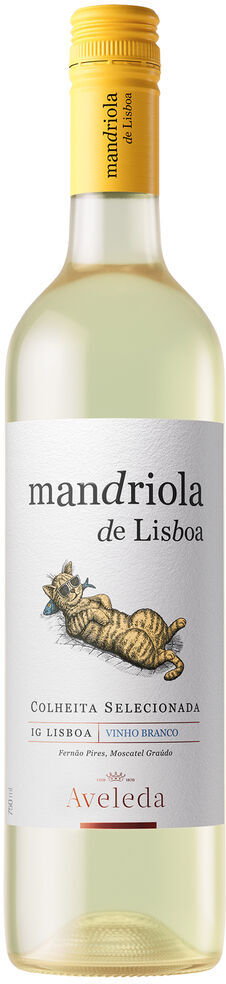 Branco 2024 Mandriola de Lisboa