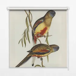 INNENROLLO - Fensterrollo - Rollo - 150x140 cm - Zwei Vögel auf einem Ast