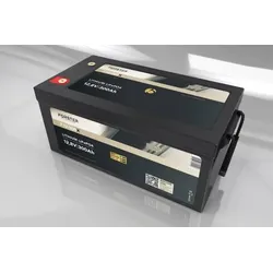 FORSTER 300Ah 12,8V Lithium LiFePO4 Premium Batterie 200A-BMS-2.1... - 0% MwST. (Angebot gemäß §12 USt Gesetz.)