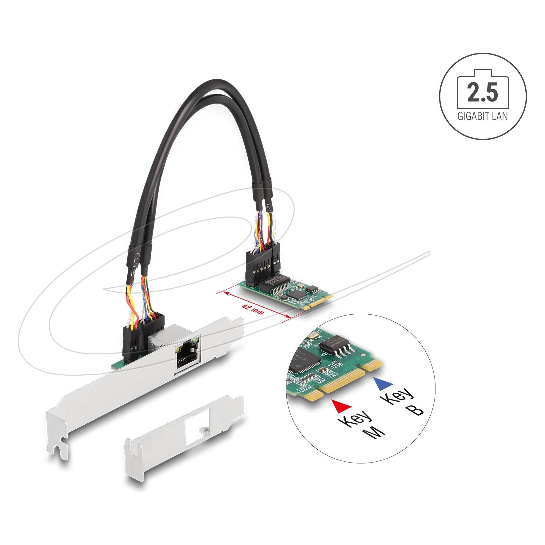 Delock Konverter M.2 Key B+M 1 x RJ45 2,5 Gigabit LAN (95272)
