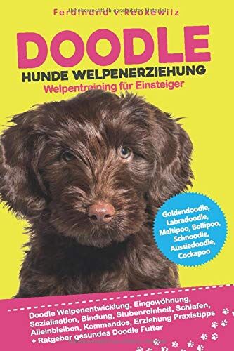Reukewitz, Ferdinand von - Doodle Hunde Welpenerziehung: Goldendoodle, Labradoodle, Maltipoo, Cockapoo & Co - Buch zum Doodle Welpentraining für Einsteiger - Entwicklung, Bindung, Stubenreinheit, Erziehung - Preis vom 11.10.2026 15:43:13 h