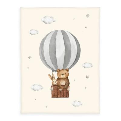 Klaus Hering 1440293014 - babybest® Microfaserflausch-Decke, Ballonfahrt, 75x100 cm