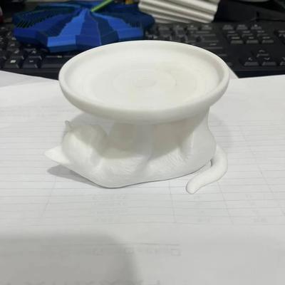 Inspire Curations 3D Printed Cat Jewelry Tray Cute Decorative Organizer For Rings & Accessories white
