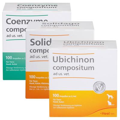 Solidago Comp AD US VET + Ubichinon US. Vet. Coenzyme 3x100 St Ampullen