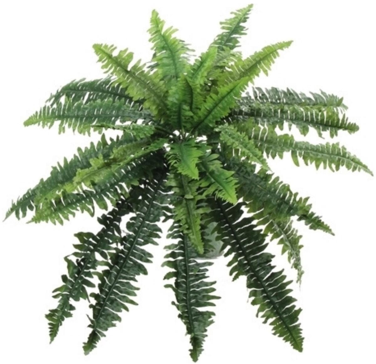 Bellatio Flowers & Plants Kunstplant varen - Groen - 28 cm