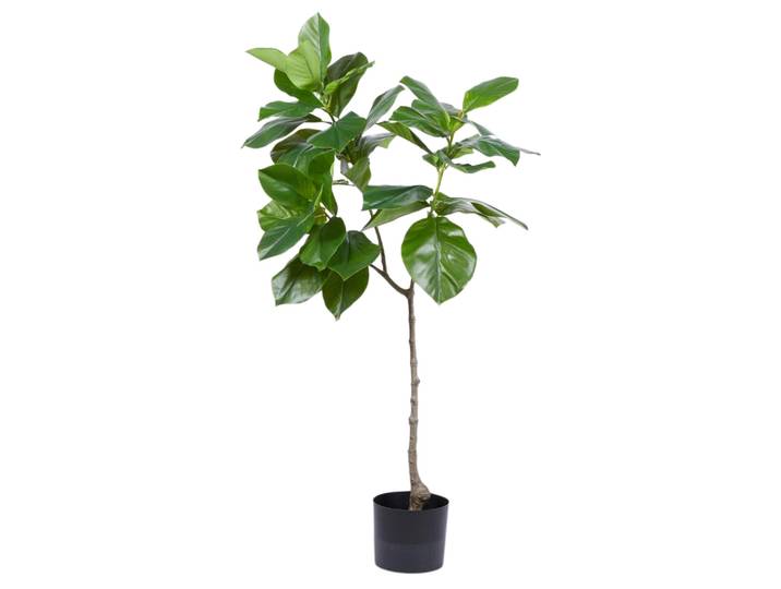Kunstpflanze Ficusbaum H: 120 cm Edg