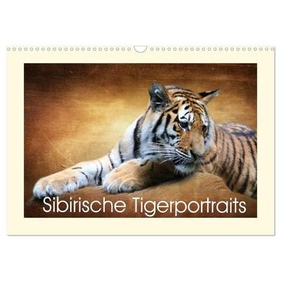 Sibirische Tigerportraits (Wandkalender 2027 DIN A3 quer), CALVENDO Monatskalender