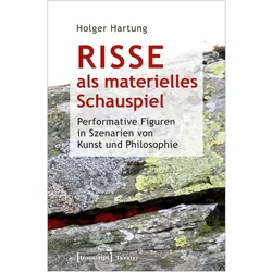 Risse als materielles Schauspiel, Fachbücher von Holger Hartung