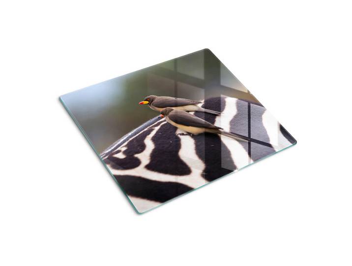 Tulup Glasplatte 60x52 cm Vögel und Zebras, Grau, Glas, 60x0.4x52 cm, Küchen, Küchenelektrogeräte, Herde, Herdabdeckplatten