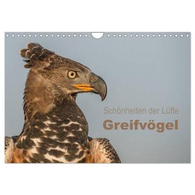 Schönheiten der Lüfte - Greifvögel (Wandkalender 2026 DIN A4 quer), CALVENDO Monatskalender