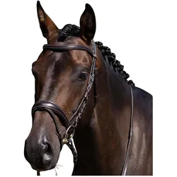 Premier Equine, Zaumzeug