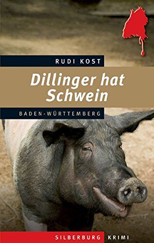 Rudi Kost - Dillinger hat Schwein: Ein Baden-Württemberg-Krimi - Preis vom 10.10.2026 11:48:34 h