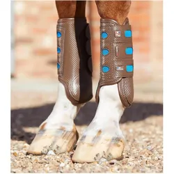 Premier Equine, Pferdebeinschutz, (L)