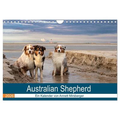 Australian Shepherd 2026 (Wandkalender 2026 DIN A4 quer), CALVENDO Monatskalender
