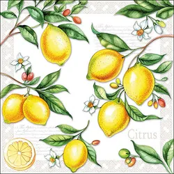 Ambiente 20 Servietten Papier 33x33cm 3-lagig - hochwertige Einweg Papierservietten Zitronen Motiv Partyservietten mediterran Tischdeko Sommerdeko Gartenfest