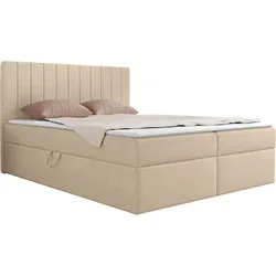 BOXBETT Everest - H3