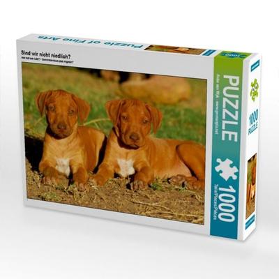 CALVENDO Puzzle Sind wir nicht niedlich? | 1000 Teile Lege-Größe 64x48cm Foto-Puzzle für glückliche Stunden