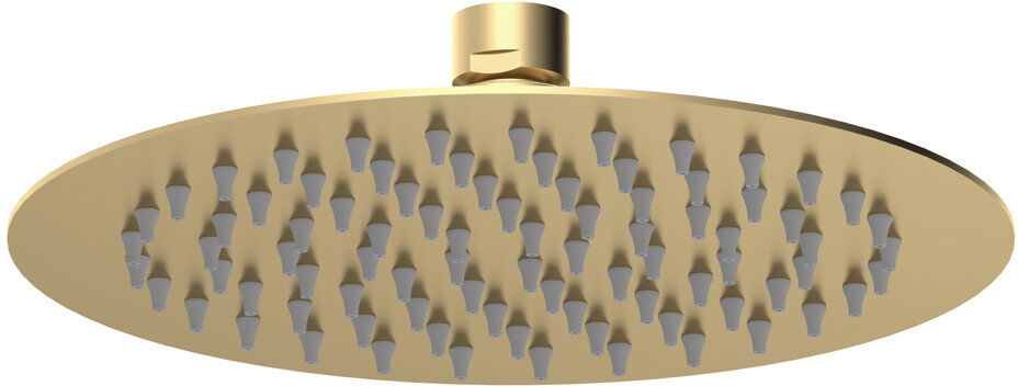Nuie Fixed Shower Head Brushed Brass