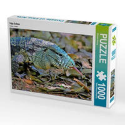 CALVENDO Puzzle Teju Echse | 1000 Teile Lege-Größe 64x48cm Foto-Puzzle für glückliche Stunden