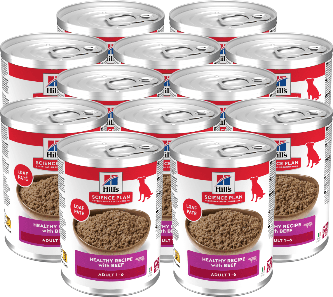 HILLS Kit Risparmio 12x370G Hill's Science Plan Adult Dog ADULT MANZO