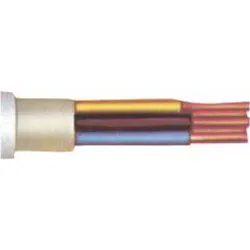 Magni, Kabelleitung, Kunststoff-Mantelleitung NYM-J, 5x2,5mm2, 50m-Ring (50 m)