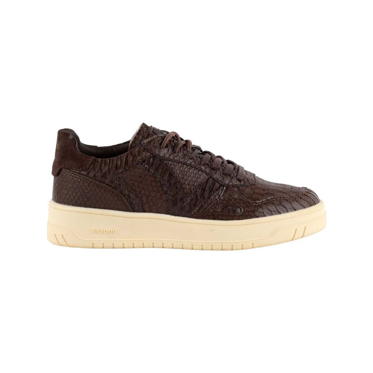 Victoria Seúl Textura Serpiente Women marron (70) 39 1257150-70-39