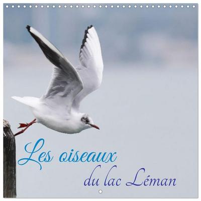 Les oiseaux du lac Léman (Calendrier mural carré 2027 30x30 cm) Calendrier double avec une page pour vos prises de notes