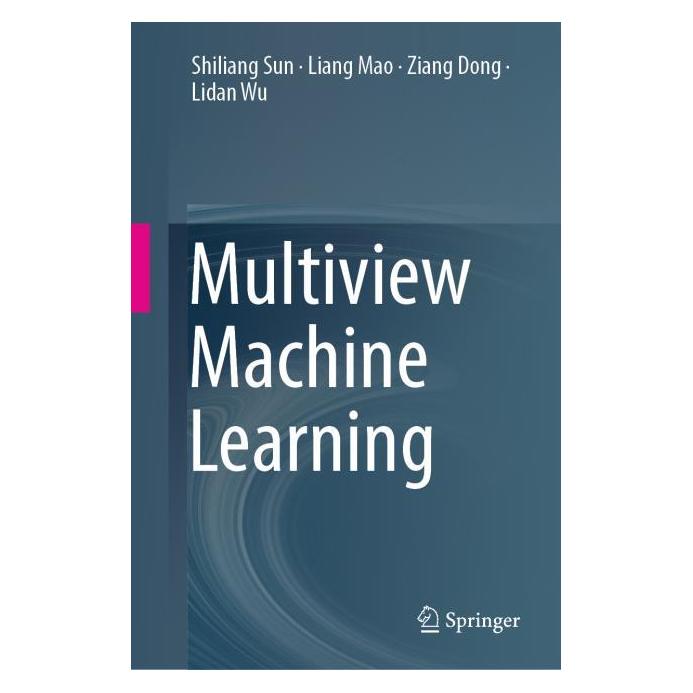 Springer Multiview Machine Learning (71873233)