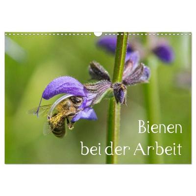 Bienen bei der Arbeit (Wandkalender 2027 DIN A3 quer), CALVENDO Monatskalender