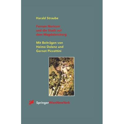 Ferrum Noricum und die Stadt auf dem Magdalensberg, Taschenbuch von Harald Straube, Springer Wien, 978-3-211-82789-5