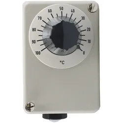 Jumo Temperaturregler 60001125