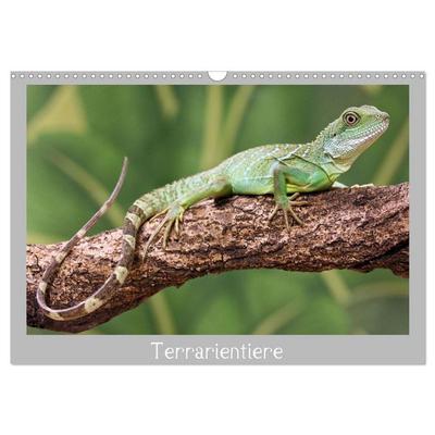 Terrarientiere (Wandkalender 2026 DIN A3 quer), CALVENDO Monatskalender