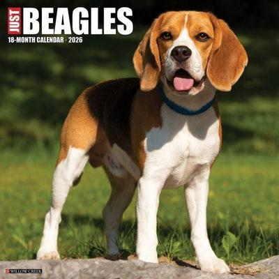 Beagles 2026 Wall Calendar