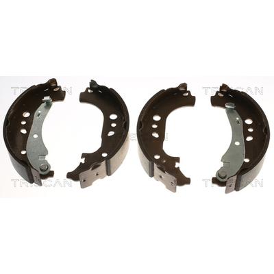 TRISCAN Bremsbackensatz 8100 29005 für VW