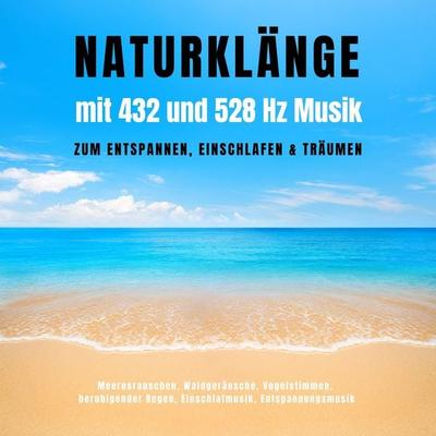 Naturklänge mit 432 und 528 Hz Musik zum Entspannen, Einschlafen & Träumen - Jeremy Forbs, Audio, 4064066784676