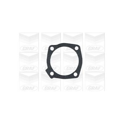 GRAF Wasserpumpe PA293 für Fiat ALFA ROMEO LANCIA