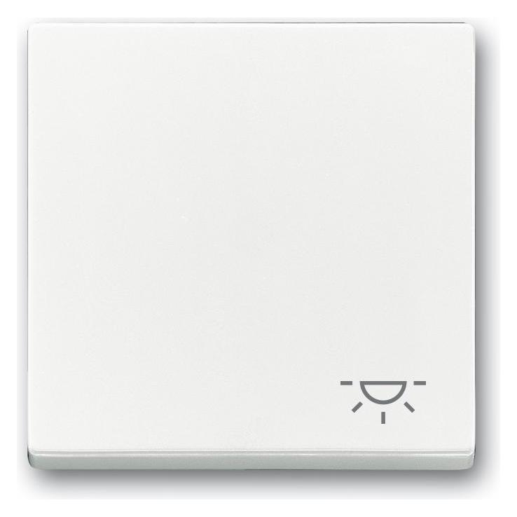 Busch-Jaeger Wippe Licht 2520 LI-84 (2CKA001751A3189)