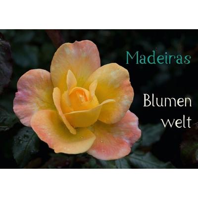 Madeiras Blumenwelt (Tischaufsteller DIN A5 quer)
